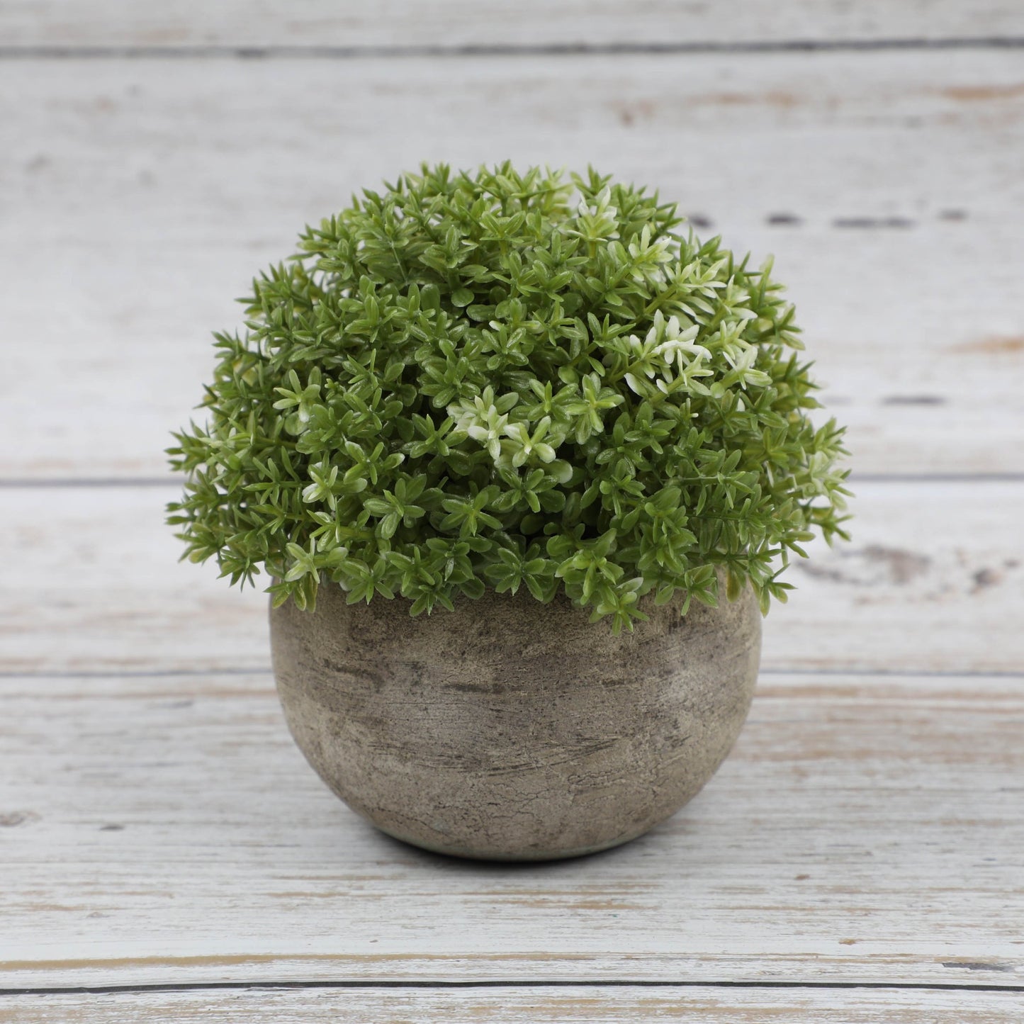 Combination Semi Round Pulp Bonsai Simulation Plant Bonsai Desktop Green Plant Decoration Bonsai