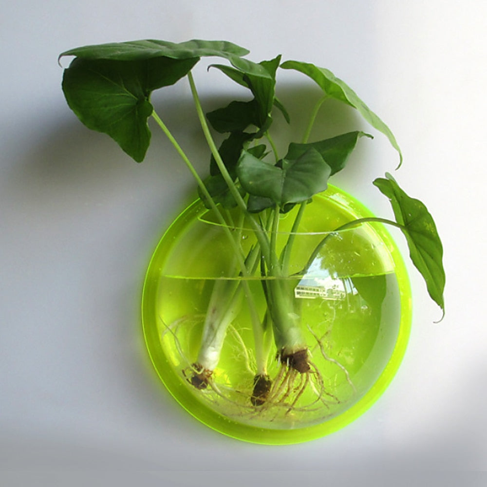 Pot Plant Wall Mounted Newest Hanging Decor Bubble Bowl Flowers Fish Tank Home Decor Aquarium Home Decoration Accessories