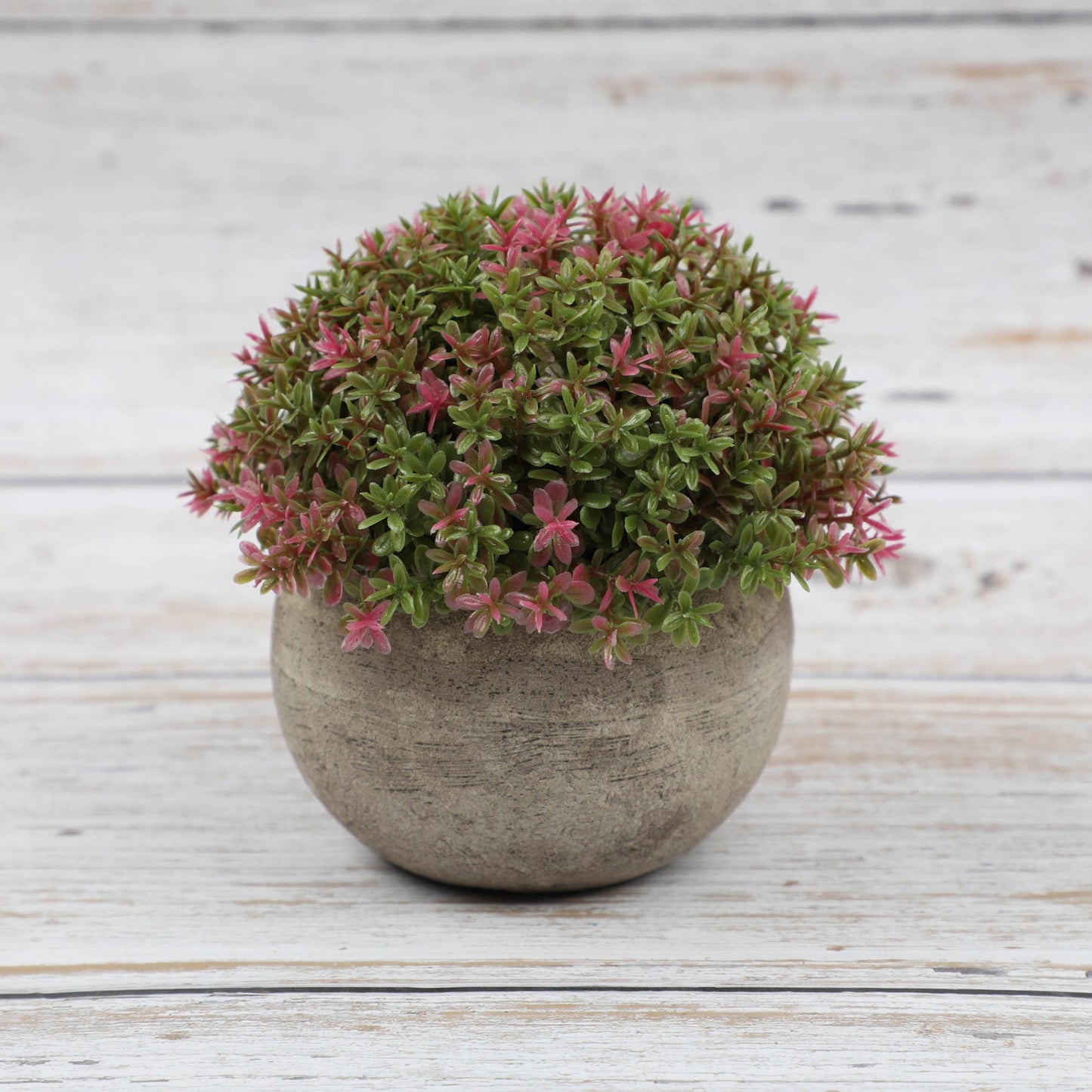 Combination Semi Round Pulp Bonsai Simulation Plant Bonsai Desktop Green Plant Decoration Bonsai
