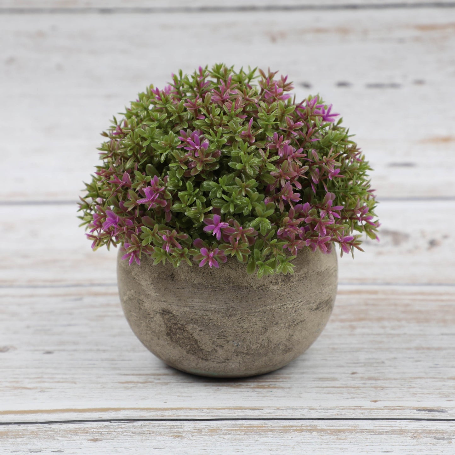 Combination Semi Round Pulp Bonsai Simulation Plant Bonsai Desktop Green Plant Decoration Bonsai