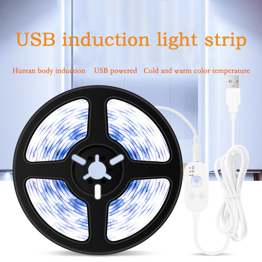 Led Light With Usb Household Human Intelligent Sensing Waterproof Light With Low-Voltage Wardrobe Soft Light Strip Decoration