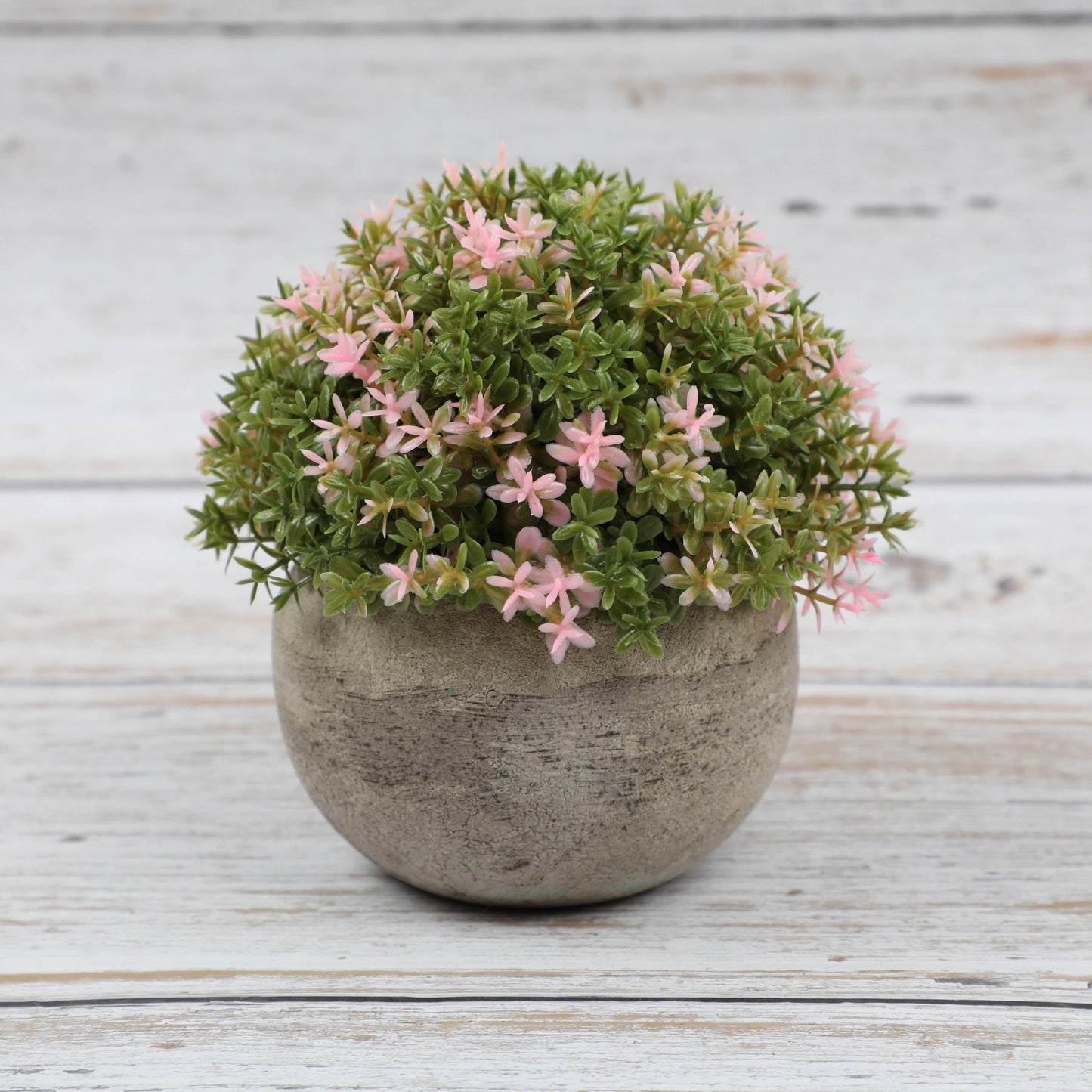Combination Semi Round Pulp Bonsai Simulation Plant Bonsai Desktop Green Plant Decoration Bonsai