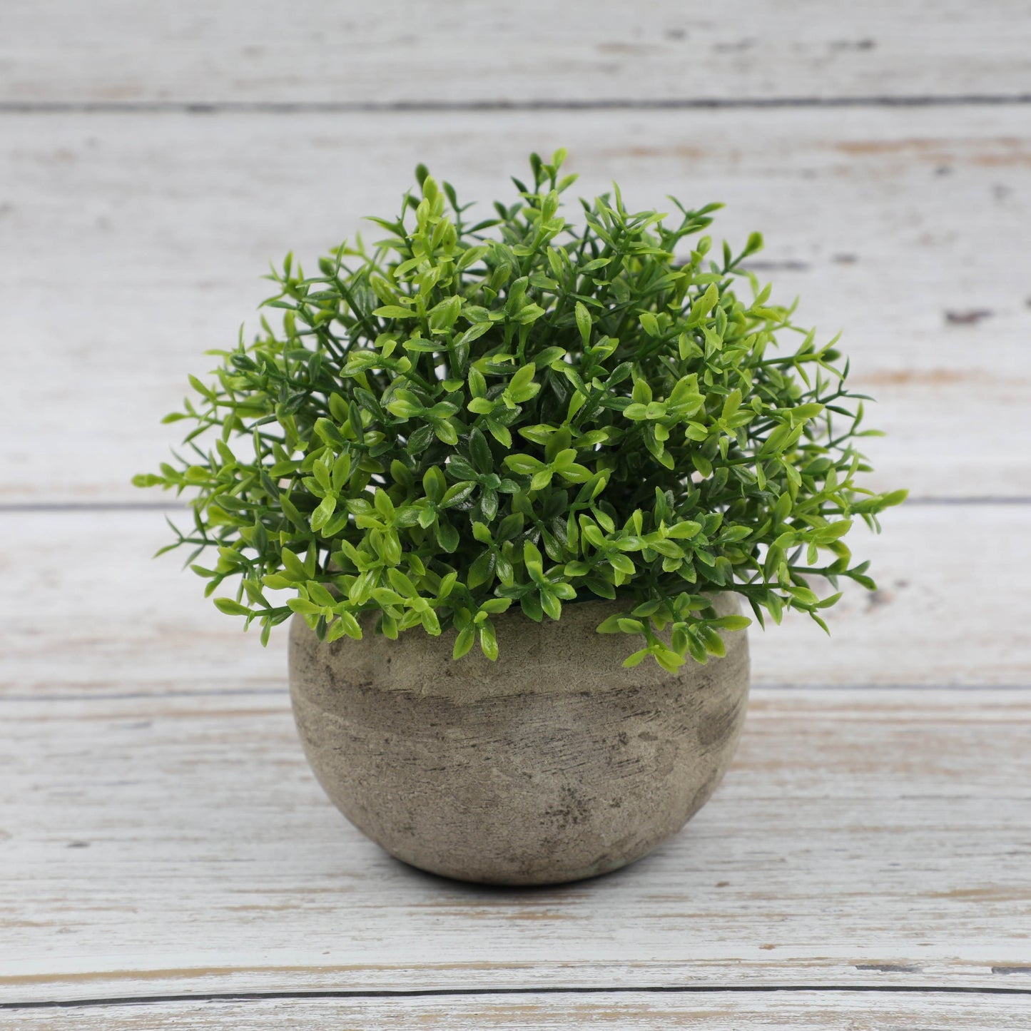 Combination Semi Round Pulp Bonsai Simulation Plant Bonsai Desktop Green Plant Decoration Bonsai